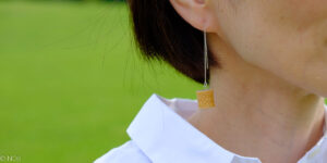 シュクル１３ー網代の耳飾りー