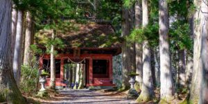 戸隠神社です。